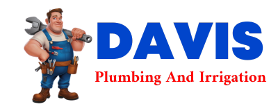 Trusted plumber in LOON LAKE